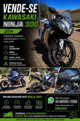 KAWASAKI NINJA 300 KAWASAKI NINJA 300
